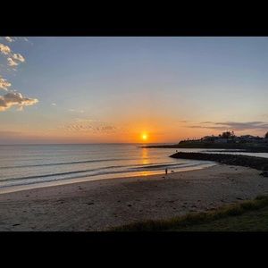 Meet your Posher, Jayne